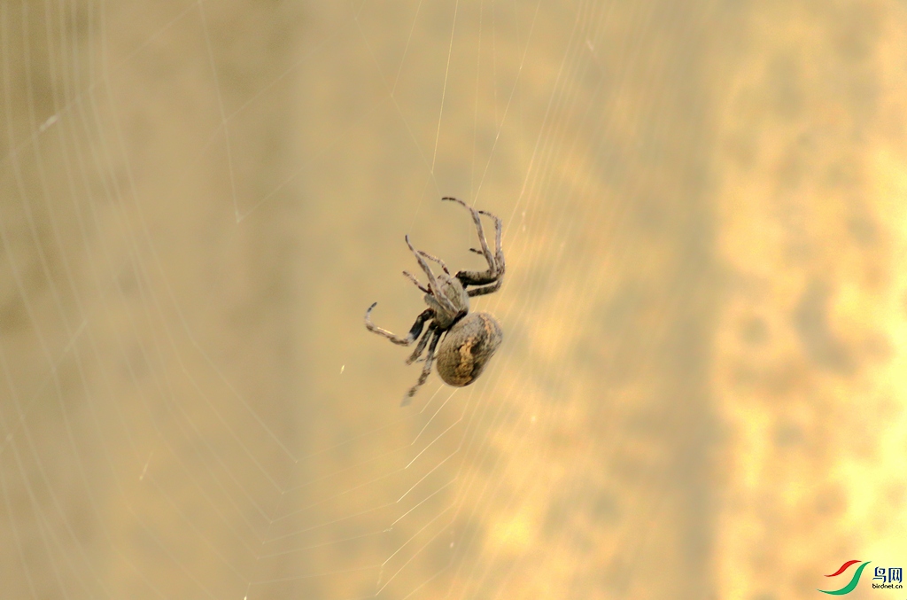 367A2653_����.jpg