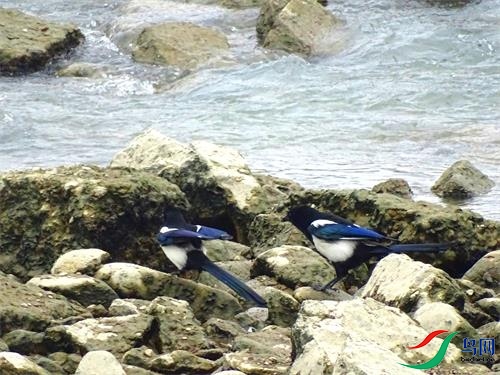 DSC01277.JPG