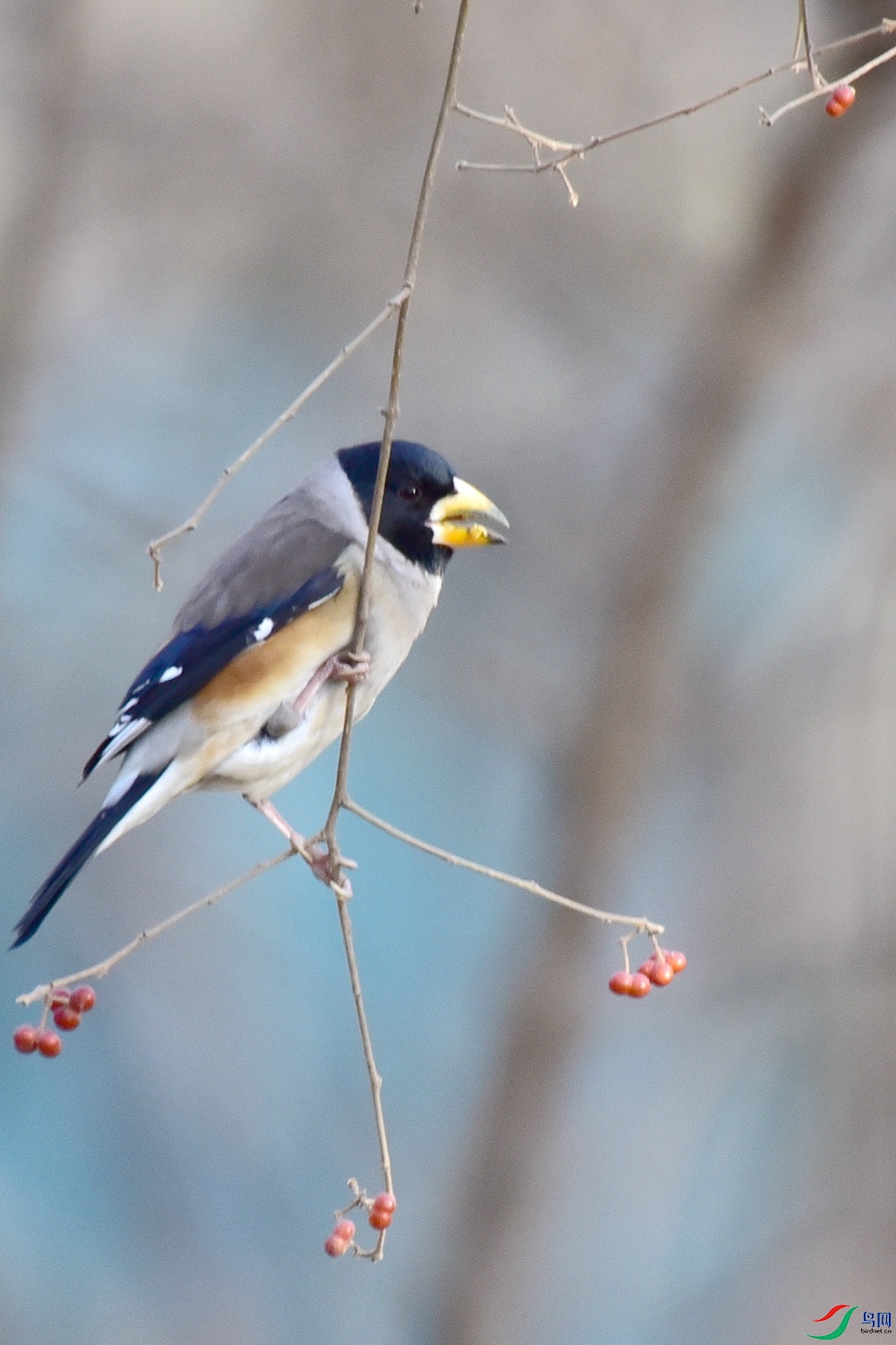 DSC_7725.JPG