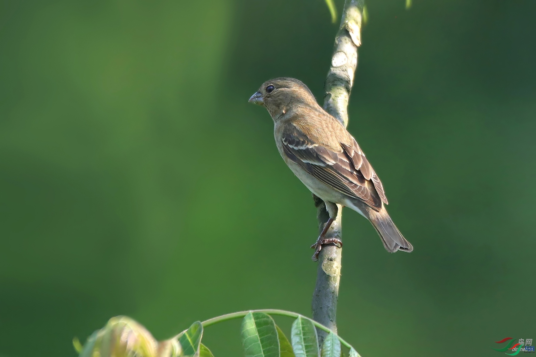 �����ҷ�  ��ʦ�������Ĵ�ʡ������������.jpg