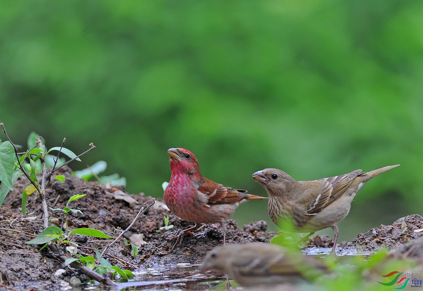 ������ǰ  ��ʦ����������ʡ������.jpg