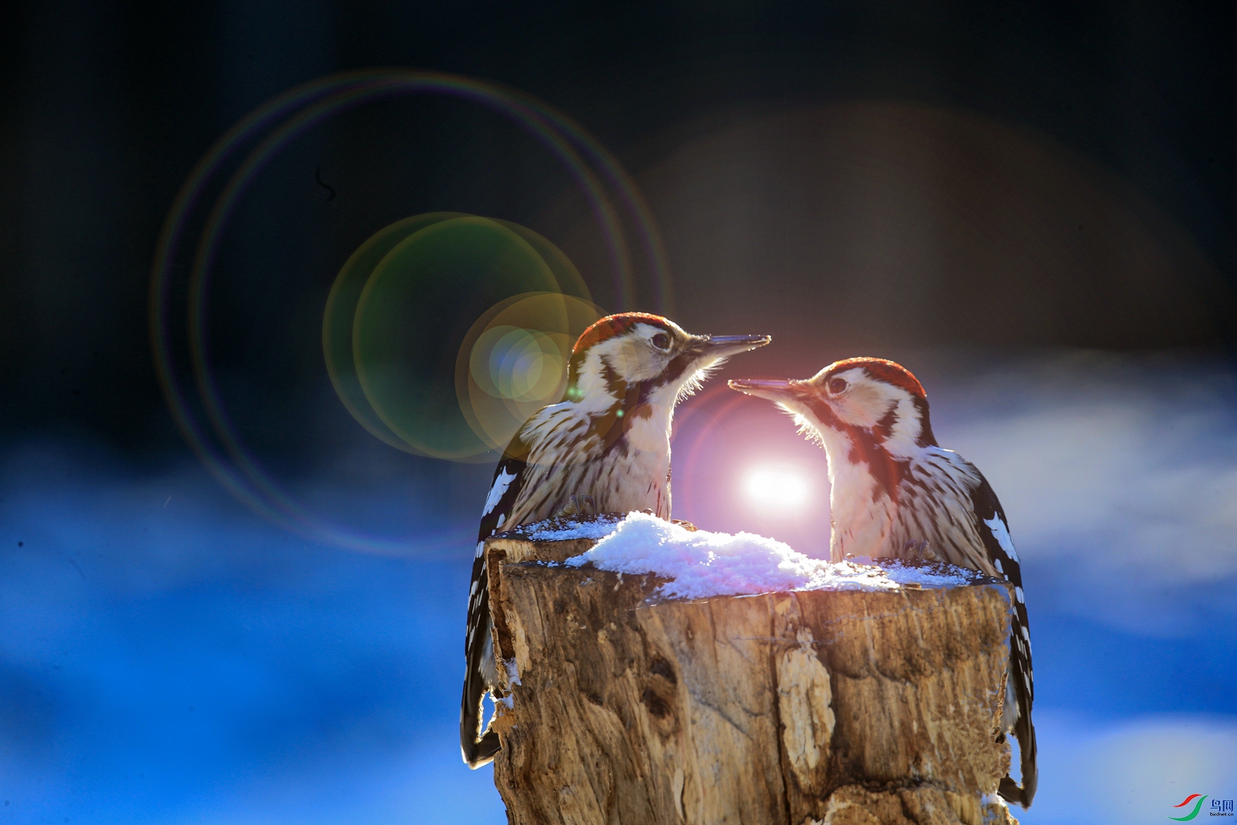 BE7W0266 - ����.jpg