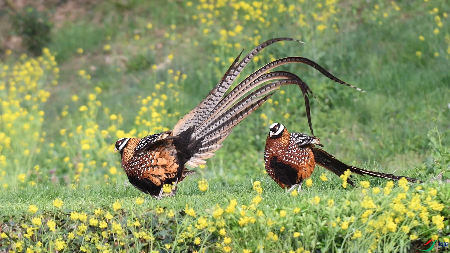 ���� 01.00_00_24_01.��ֹ001_����.jpg