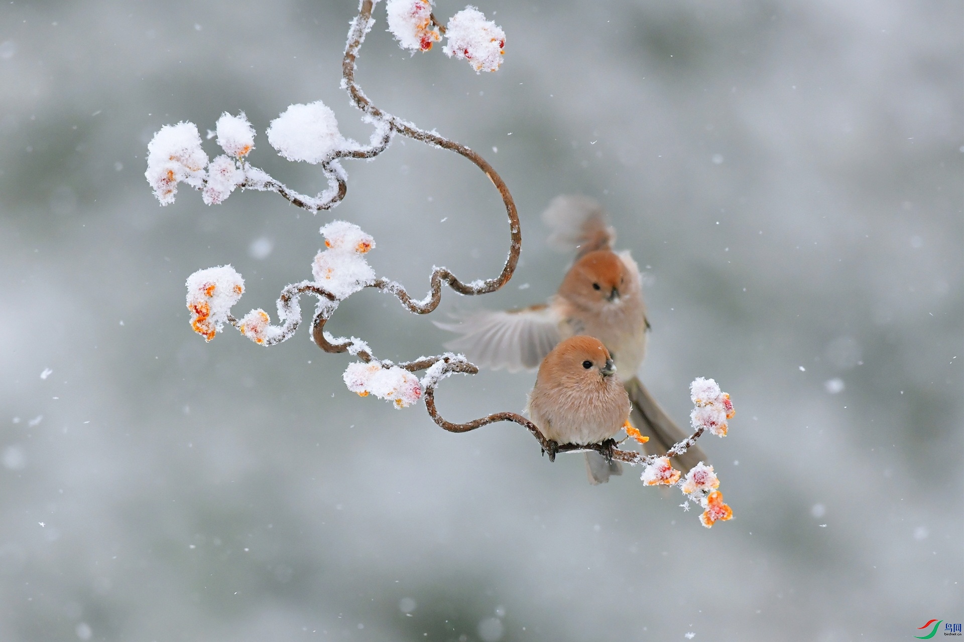 ��ʵ�������������ˡ�