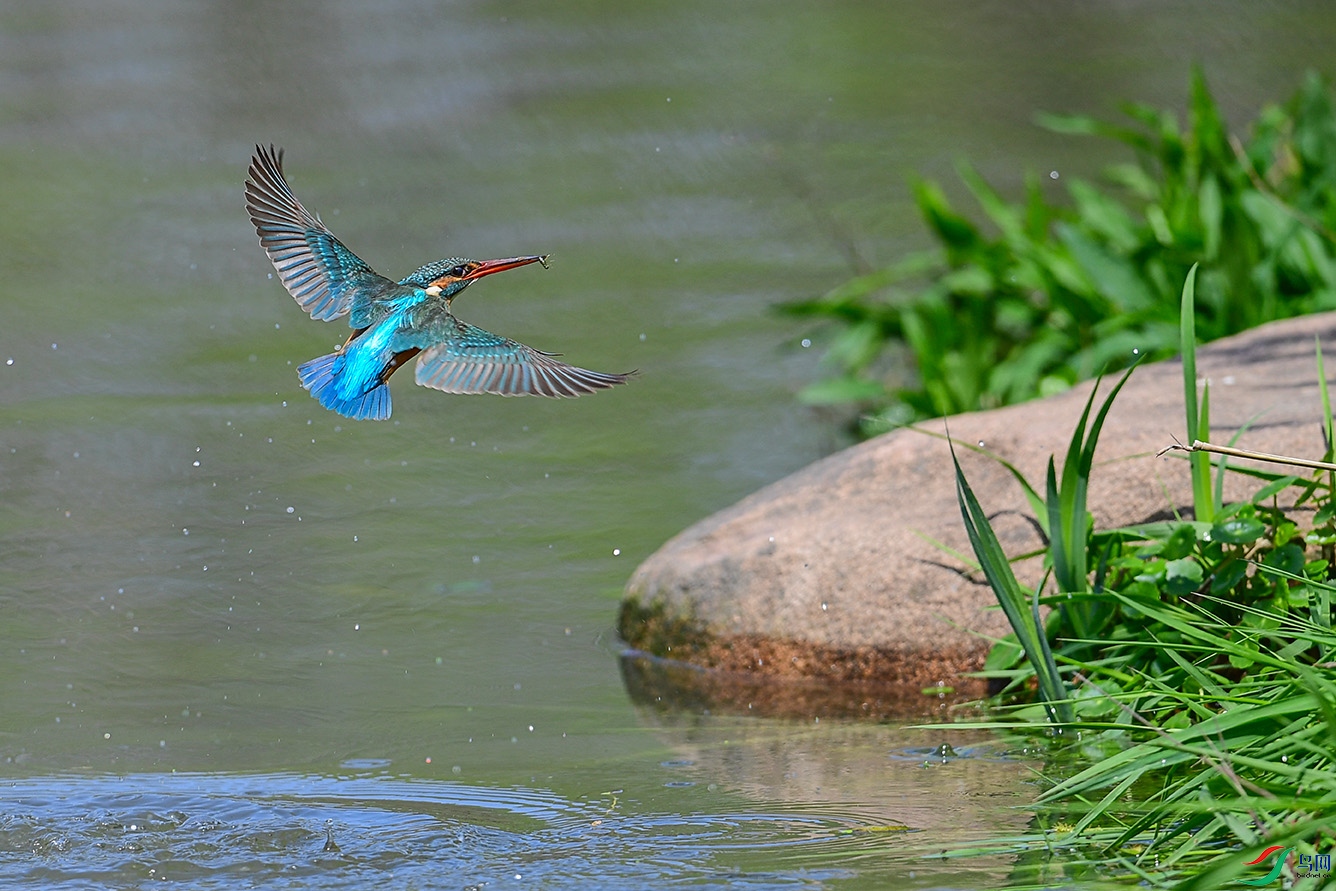 DSC_0389-2.jpg