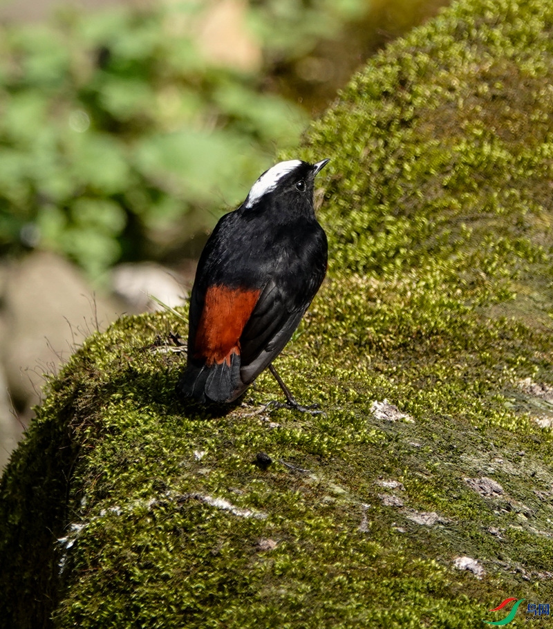 _DSC6514-1_����.jpg
