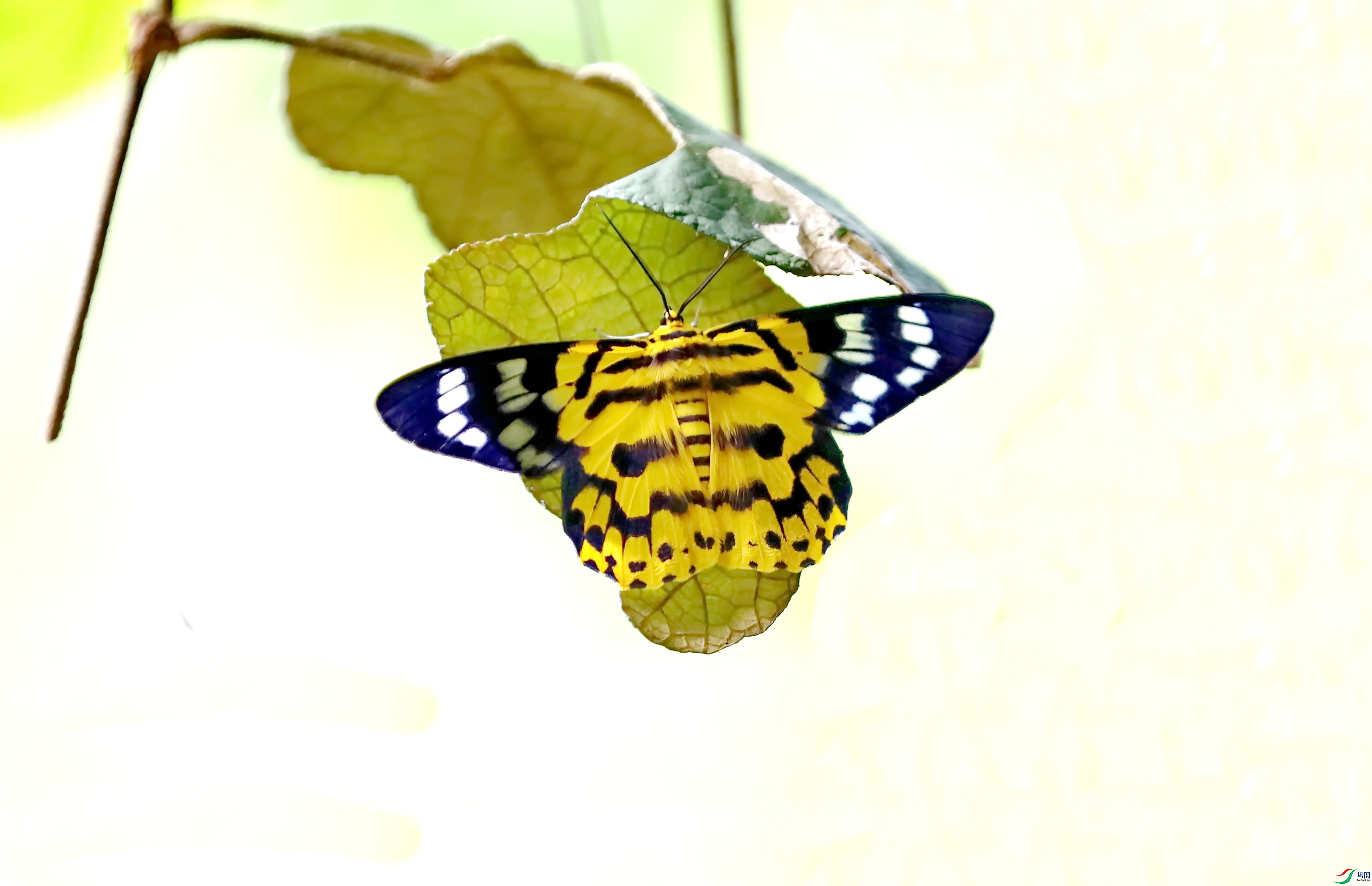 BK2A9545.JPG