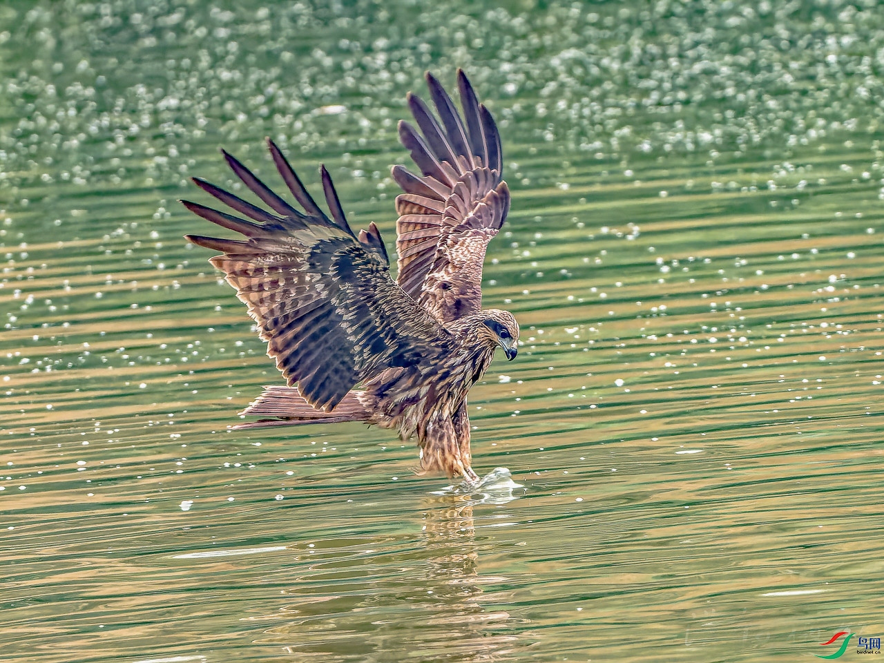 PC151293_DxO.jpg