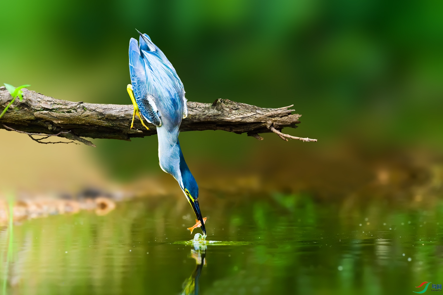����DSC_3697.jpg