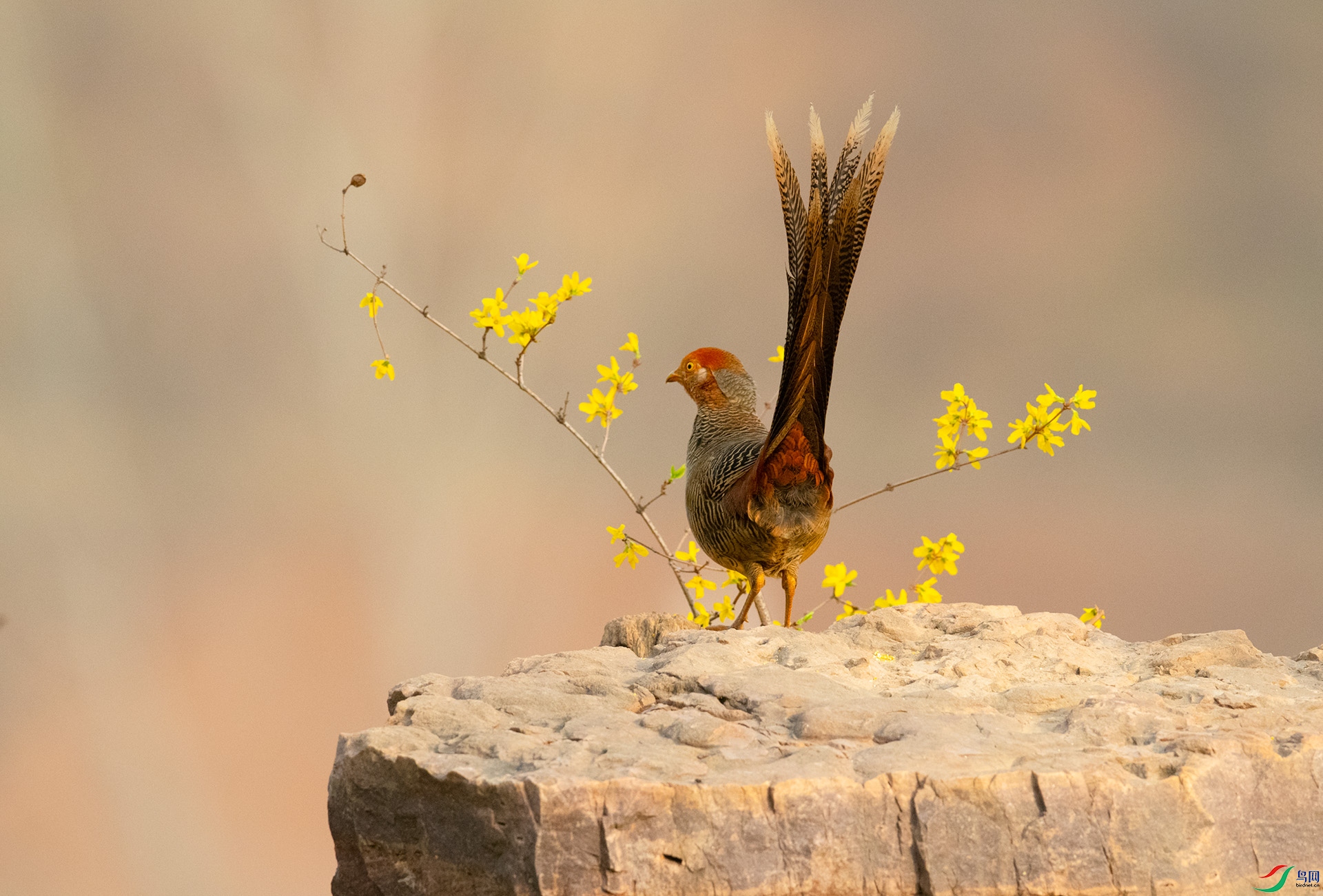 XQD_4654�츹����.jpg