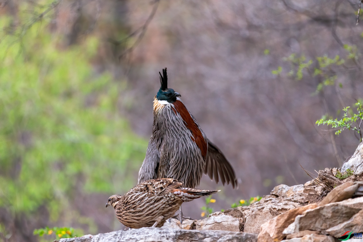_F7V5764-1.jpg��.jpg