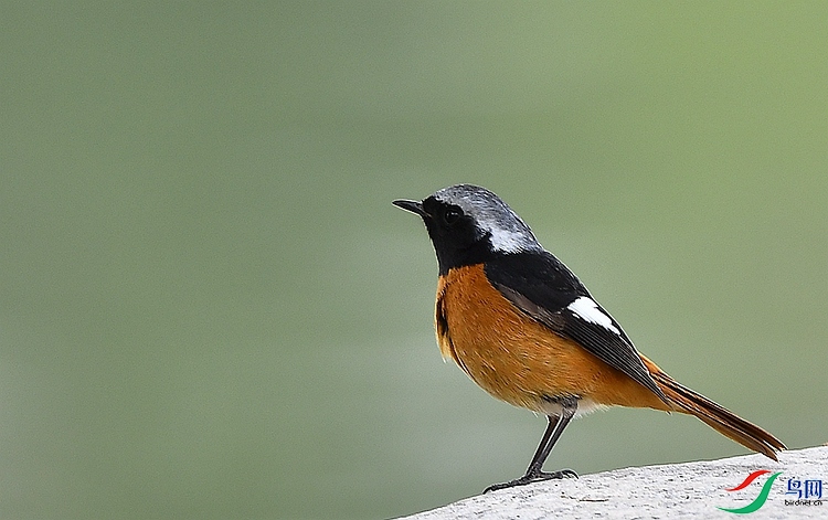 DSC_5918.JPG