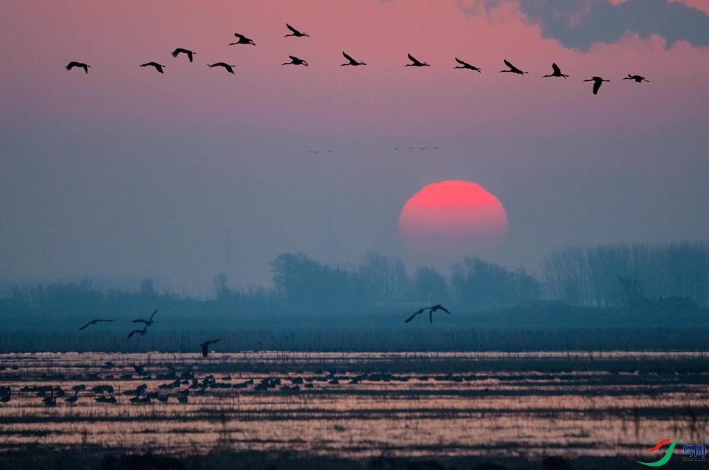 psc (8)_����.jpg