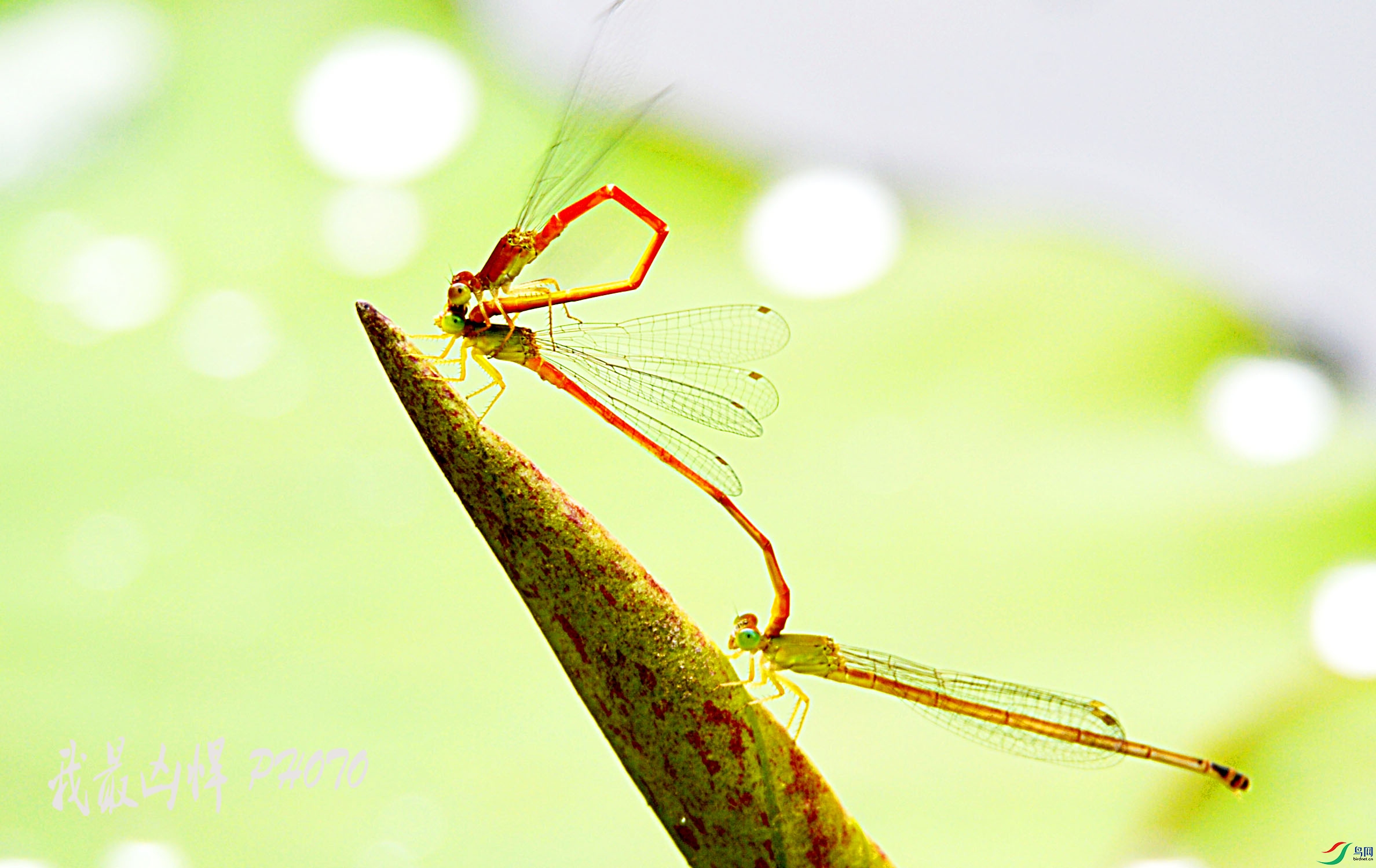 DSC_5410.jpg