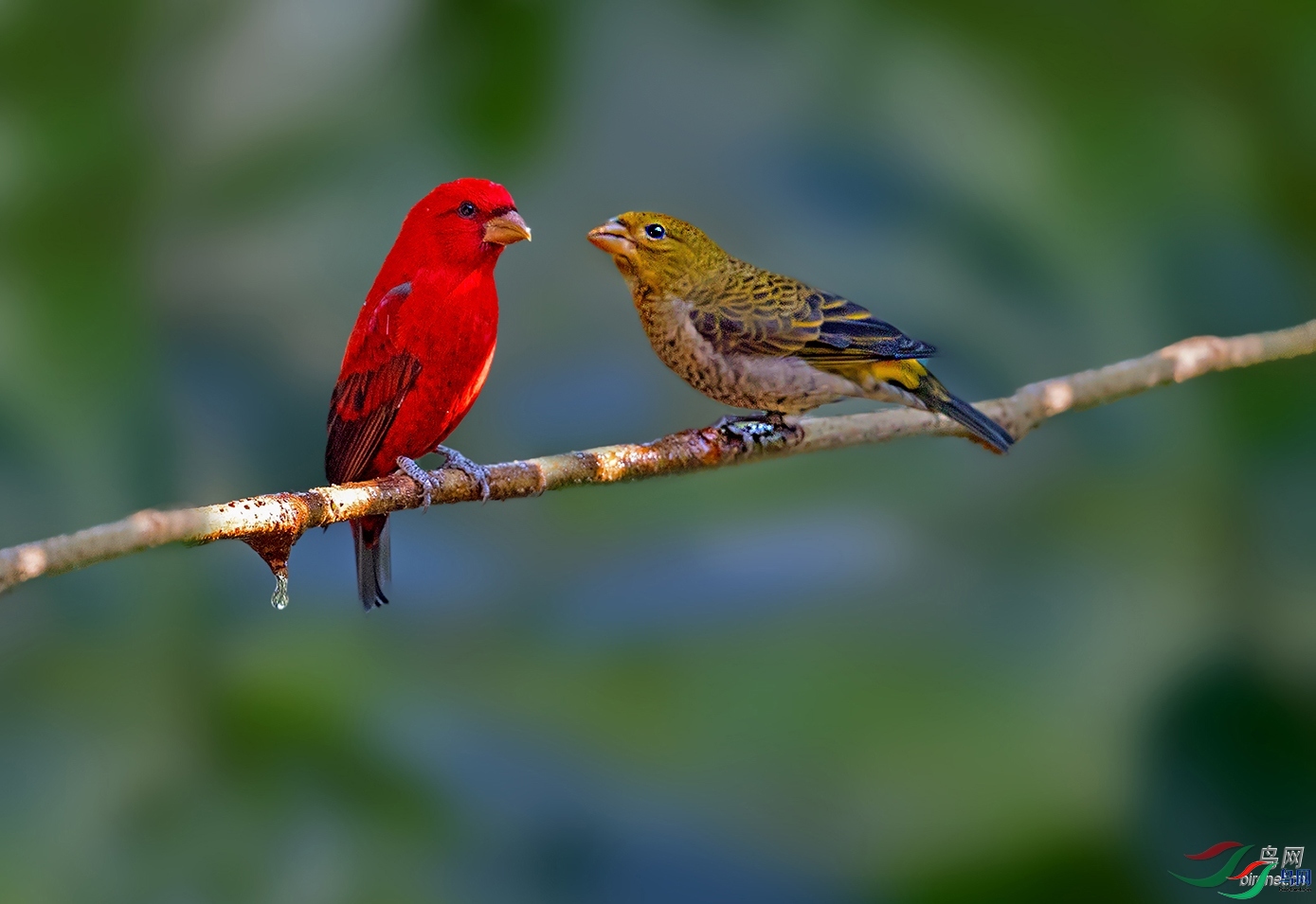 ����09  ��ʦ����������ʡ��ɽ��.jpg