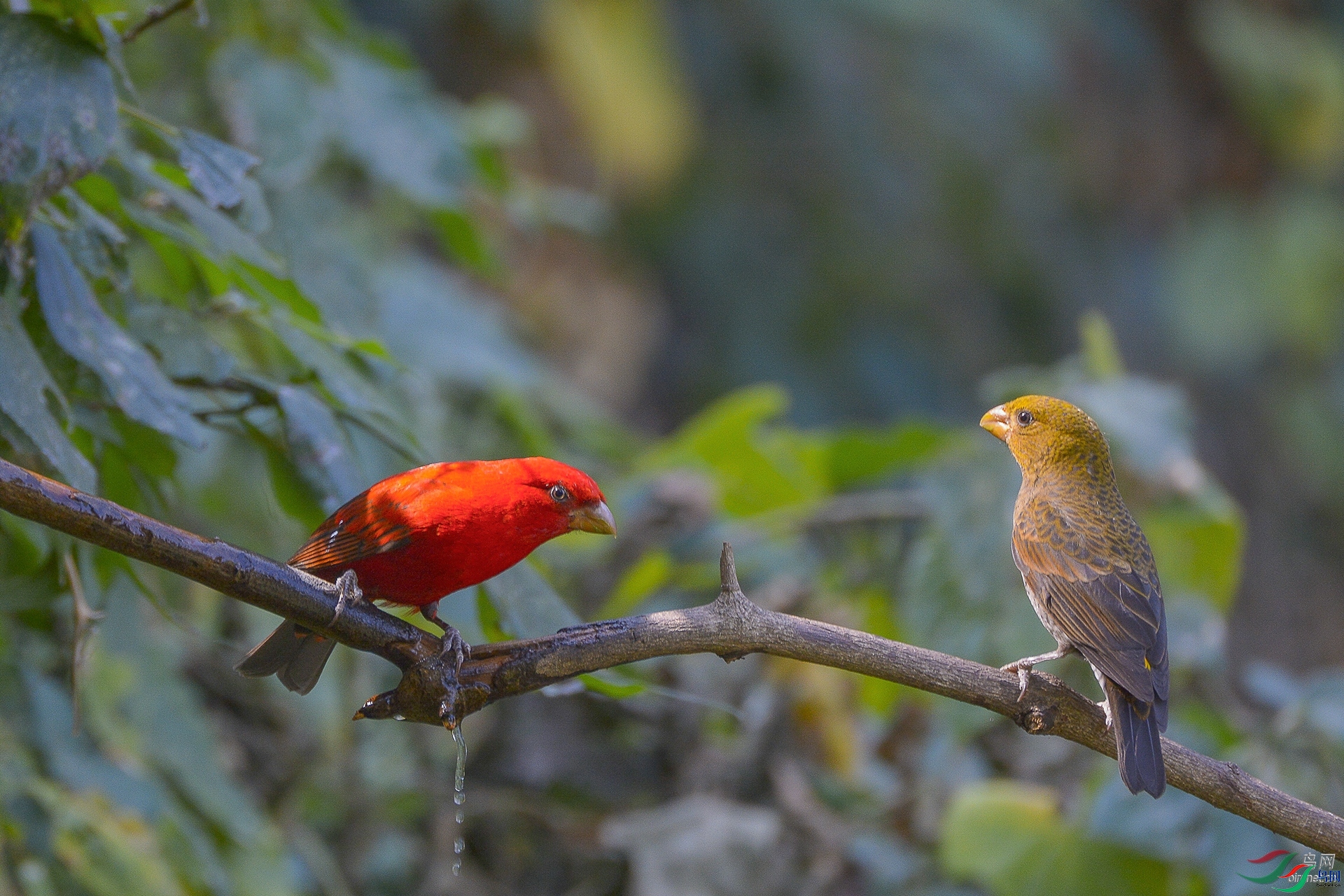 lhx666  ��ʦ����������ʡ��ɽ��.jpg