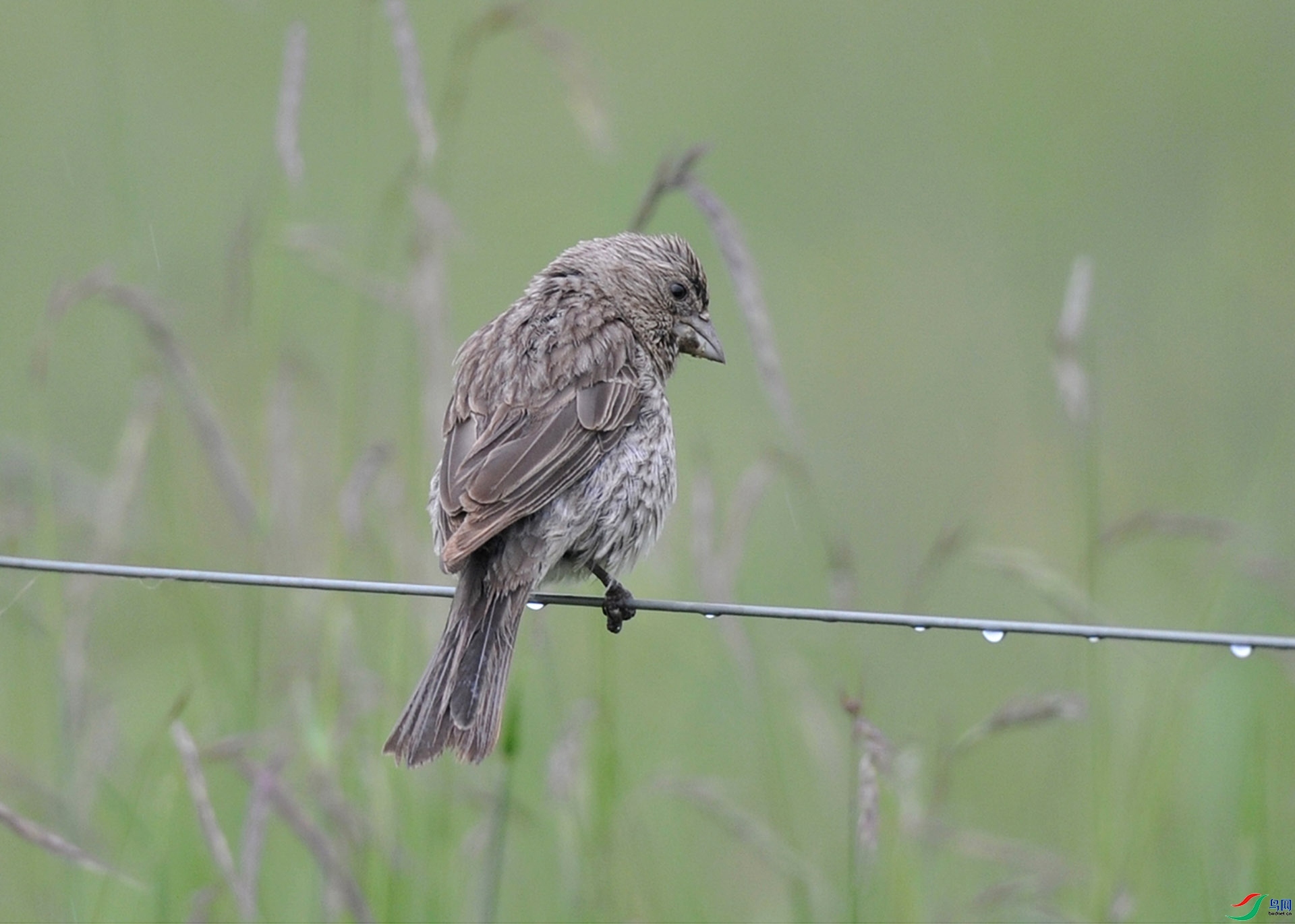 ����ϸ��  ��ʦ�������ຣʡ��������������������.jpg