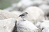 _C5R3440_����.jpg