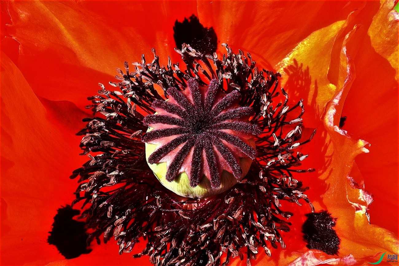 DSCN2958.JPG