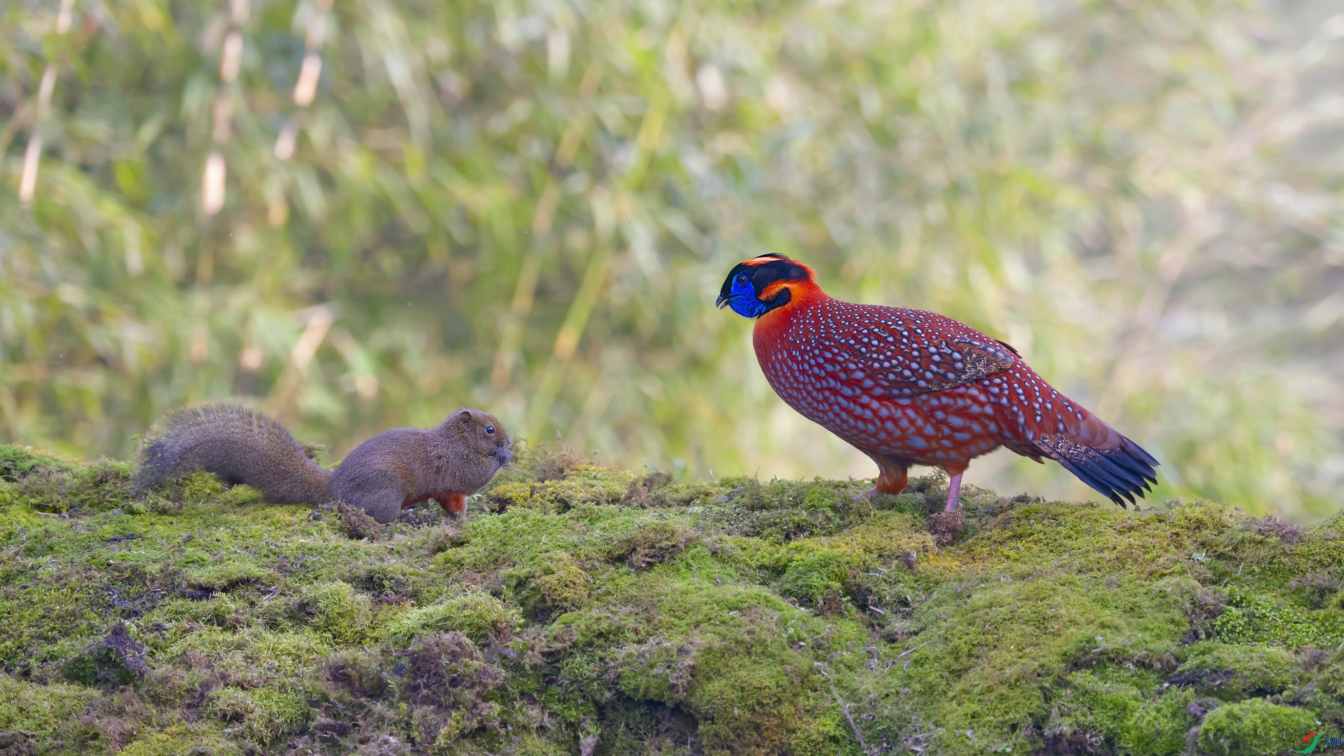 _DSC2897_DxO.jpg