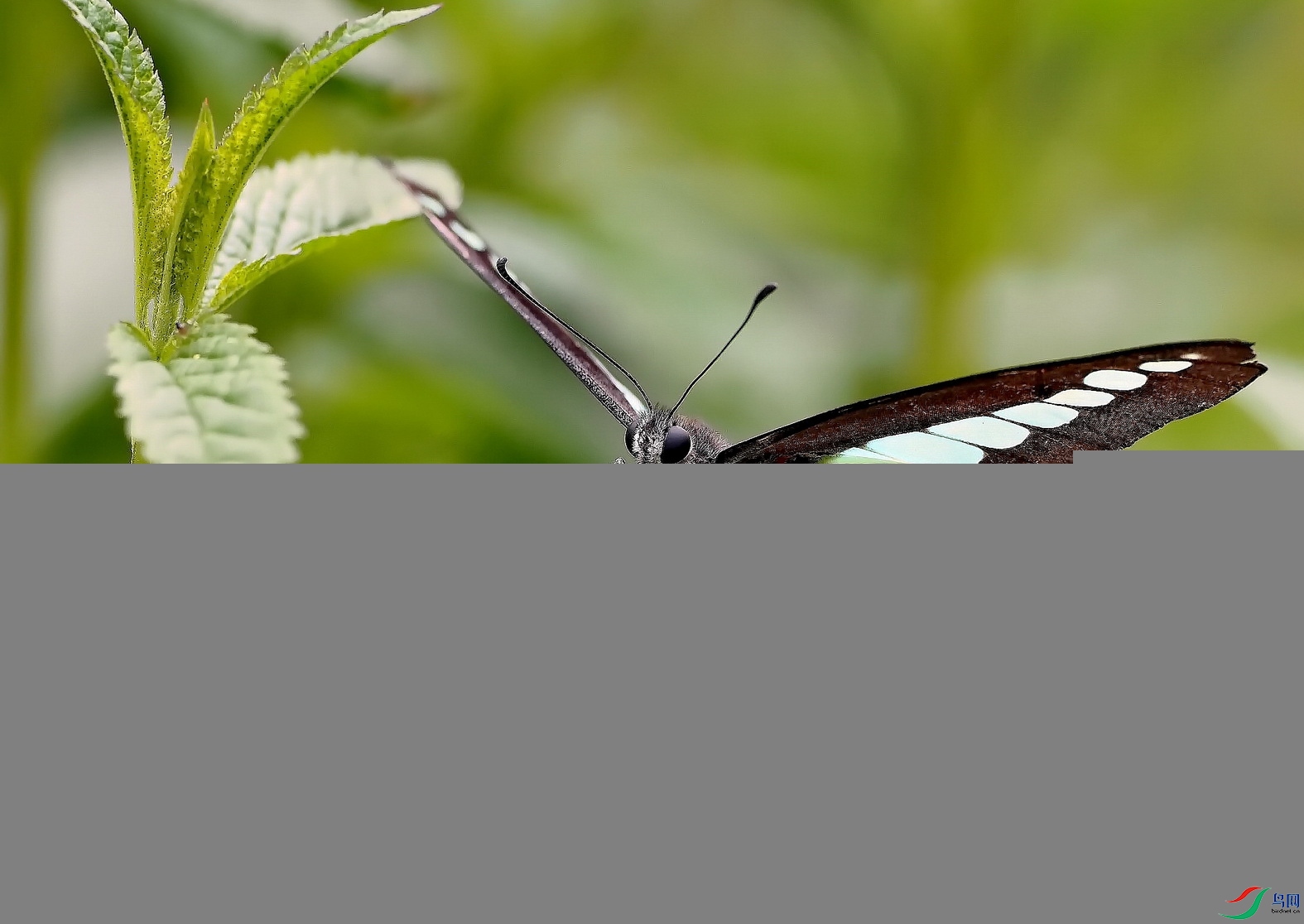 ���� (1)-1.jpg