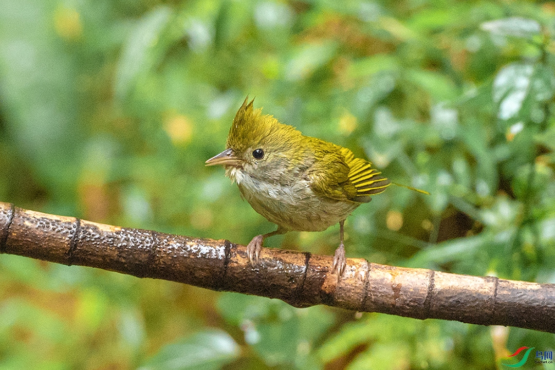 ��_DSC5225.jpg