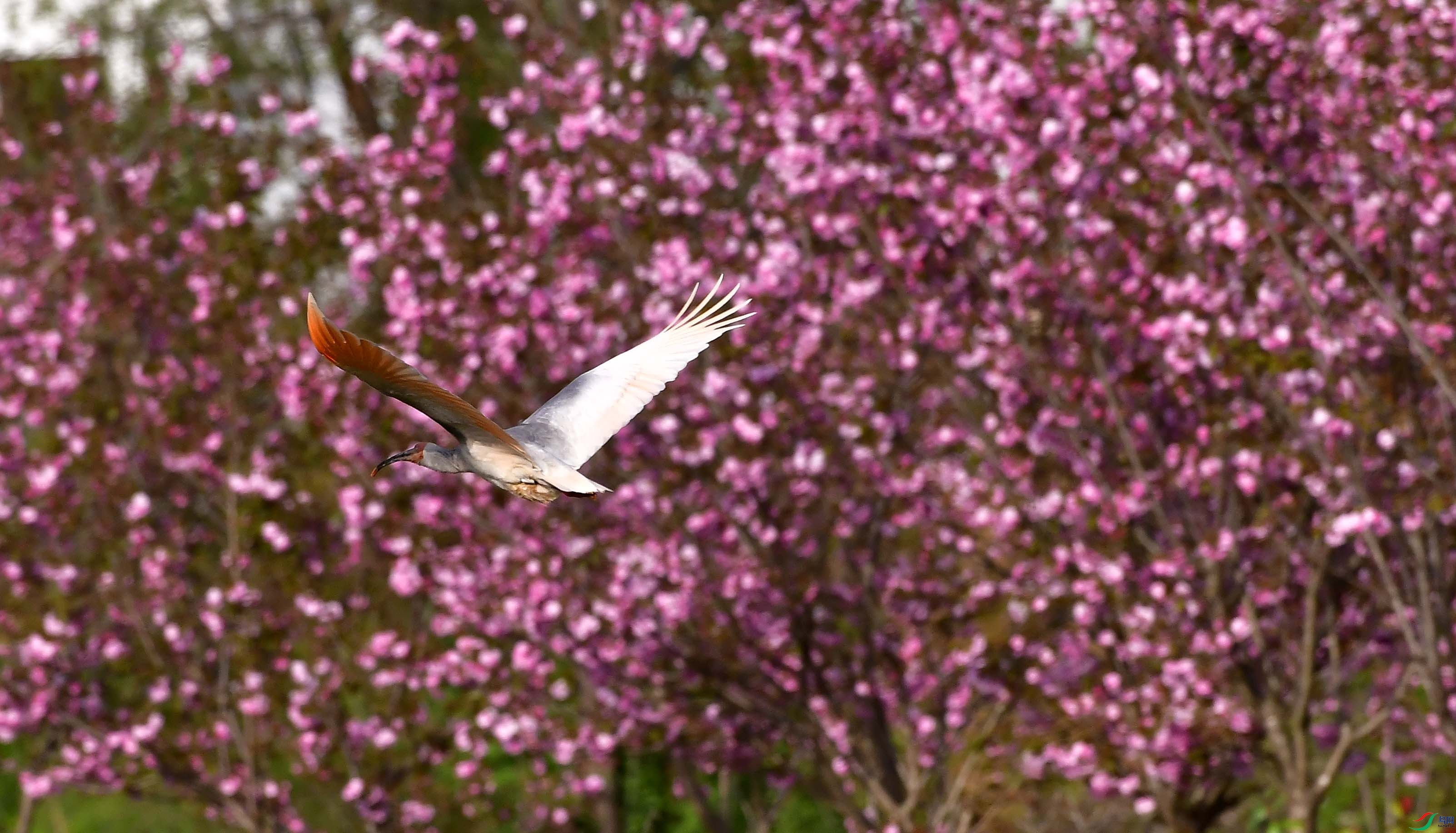 ���������q