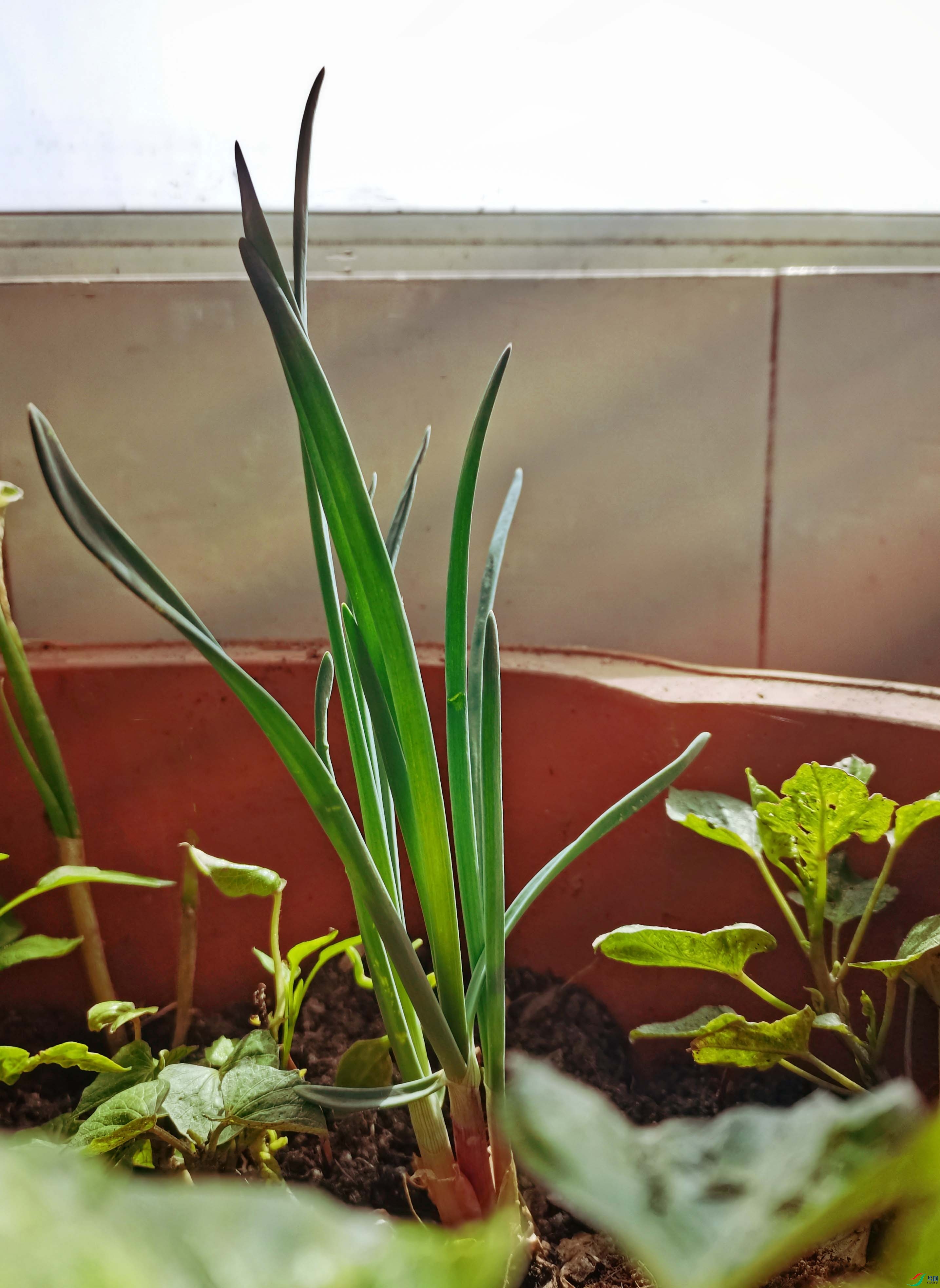 ΢��ͼƬ_20220328202942 ����.jpg