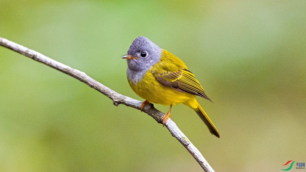 ��LPY_6191.jpg