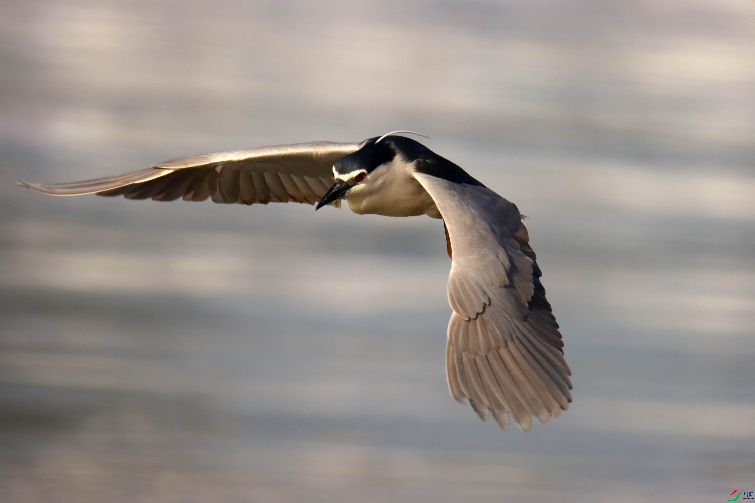 ������С �����ع� IMG_8013.JPG