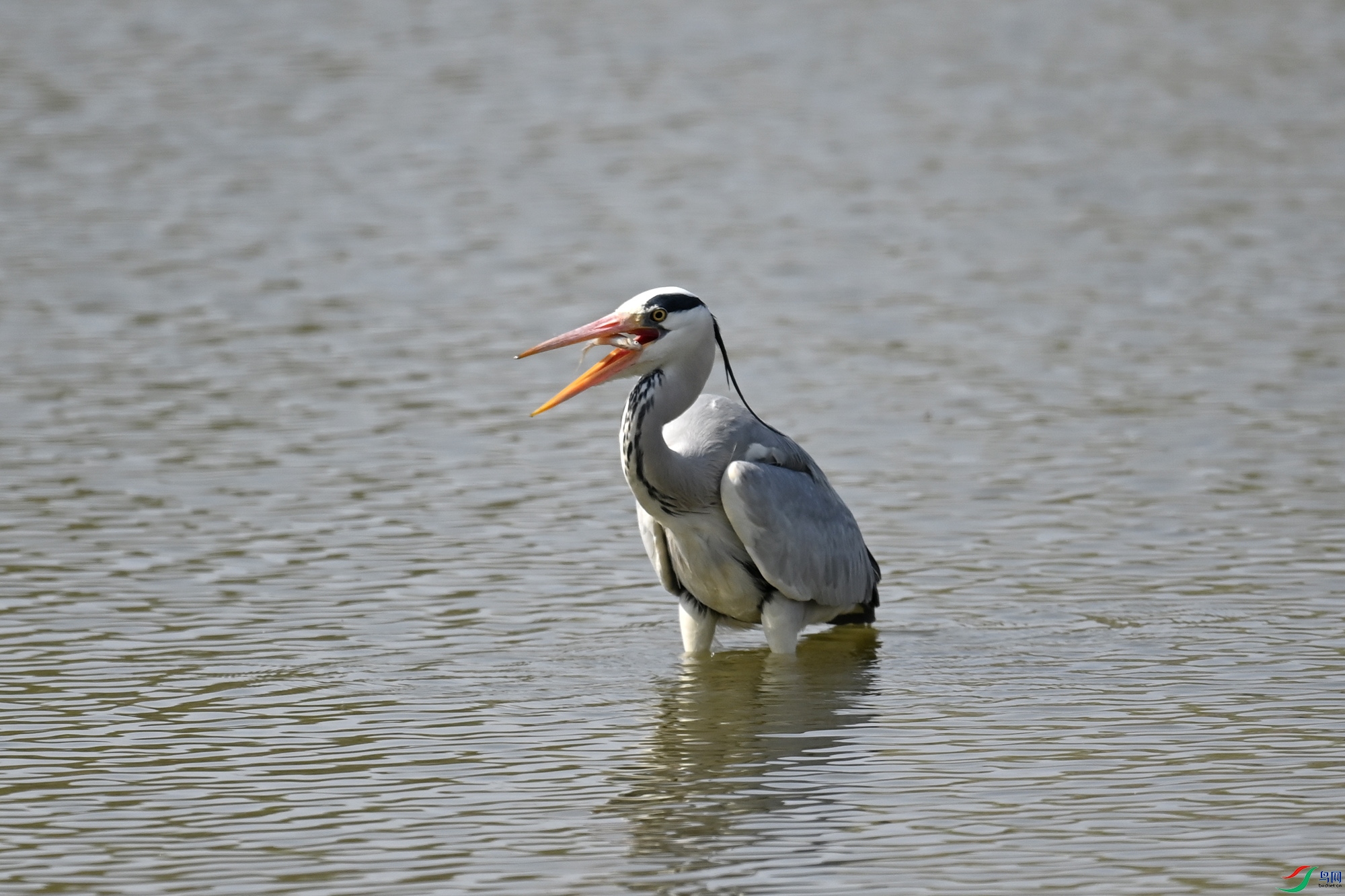 DSC_3211.jpg