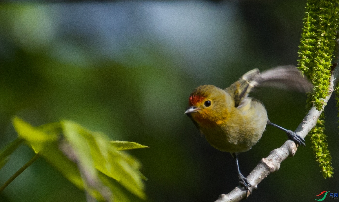 DSC_2782.JPG