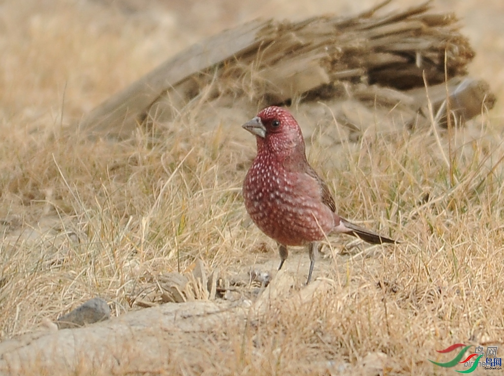 ����֮��  ��ʦ��������.��.������.jpg