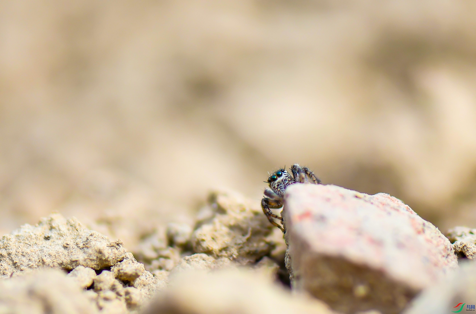 DSC_1180.jpg