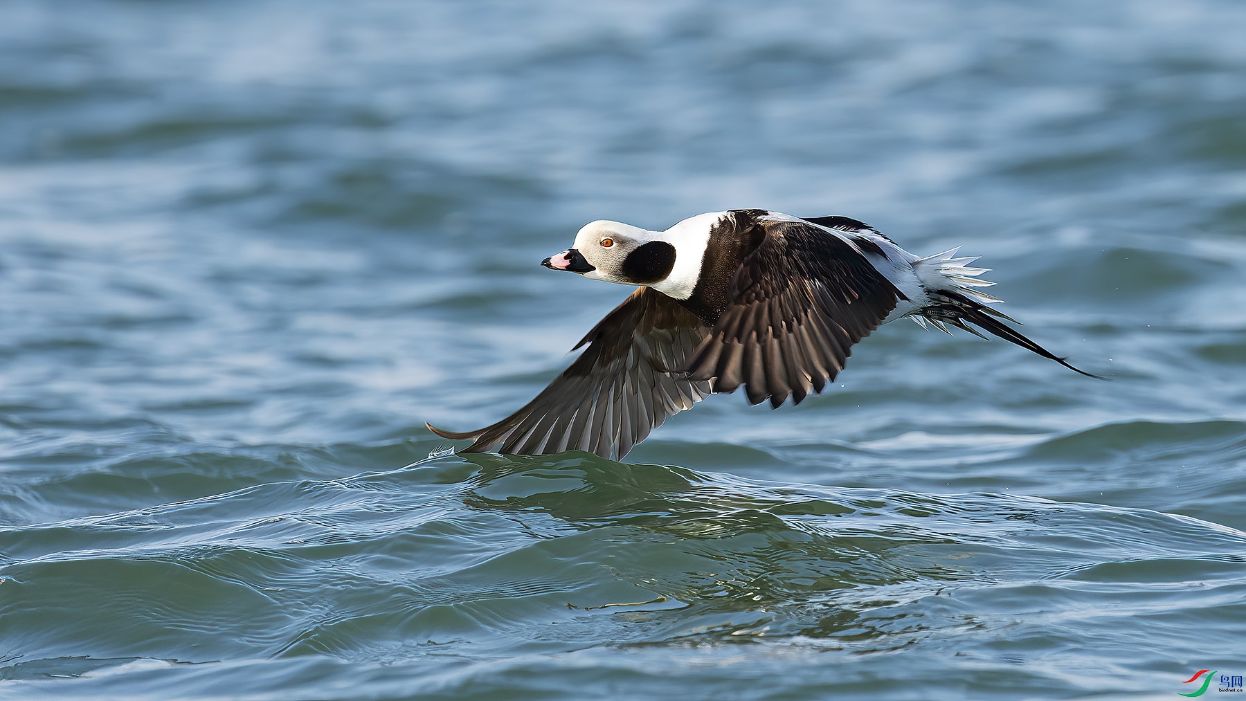 L01_5108-1.jpg