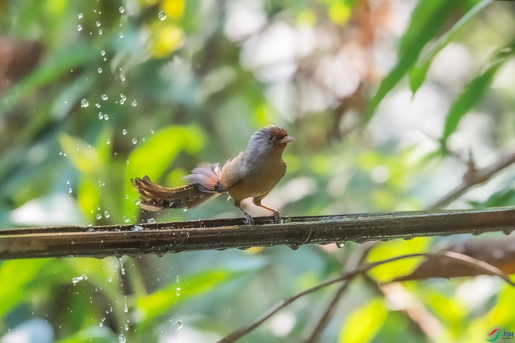 DSC_1565.jpg