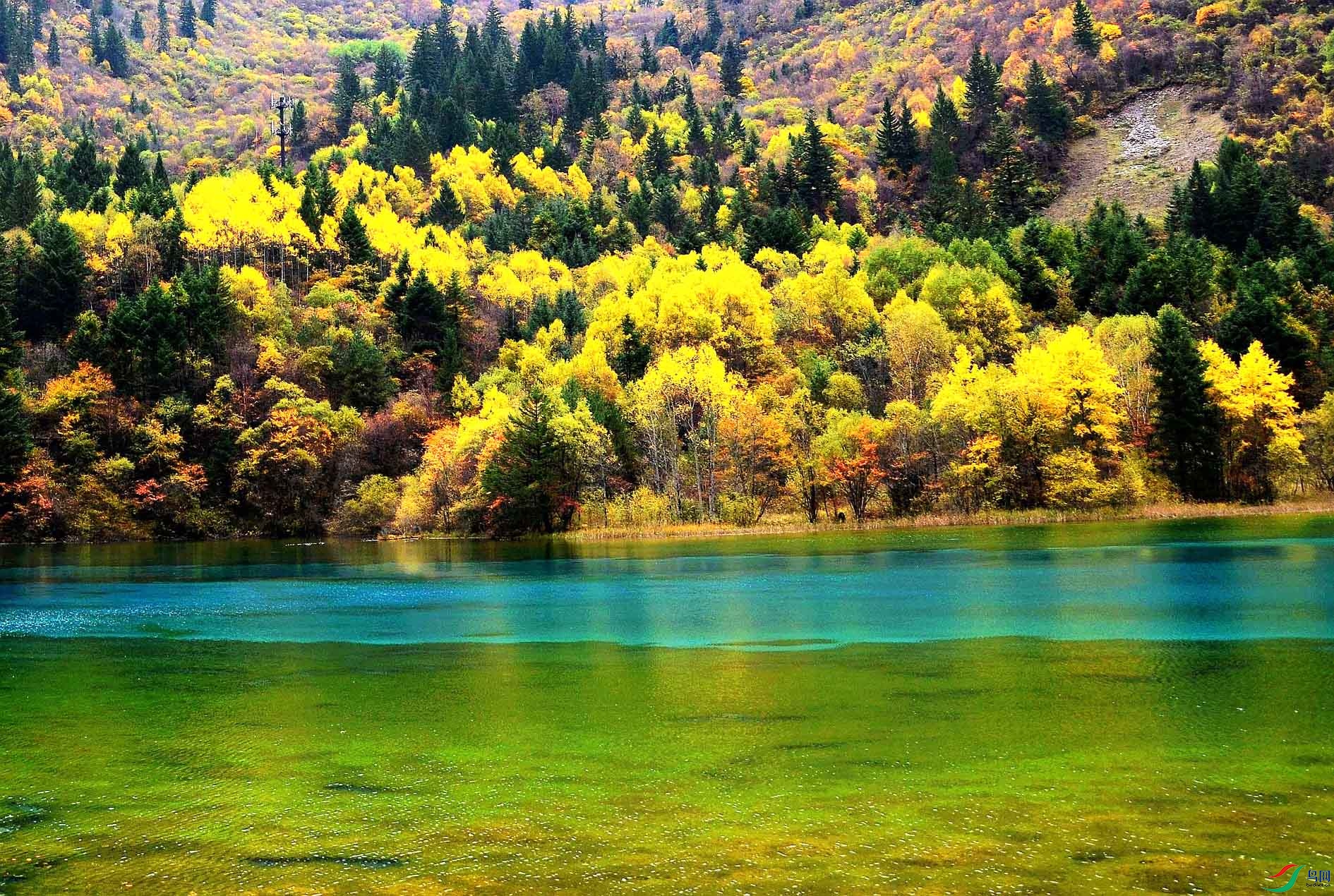 ��կ�� 300.jpg