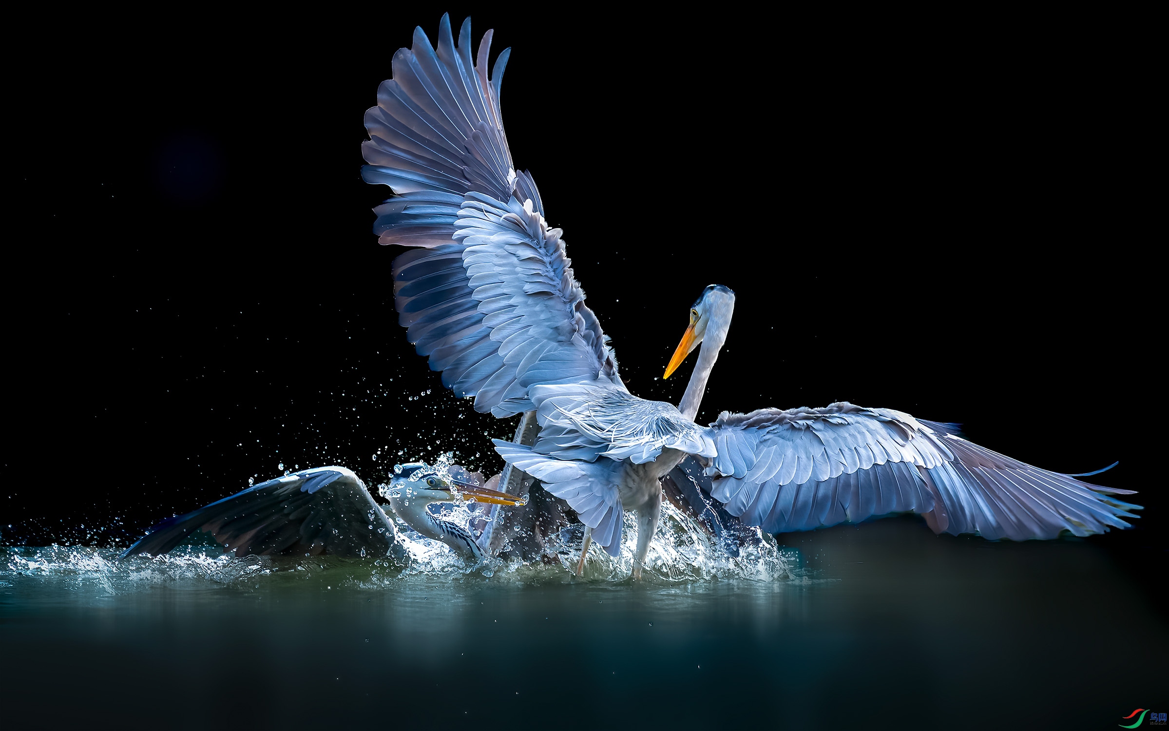 DSC_1127-B.jpg