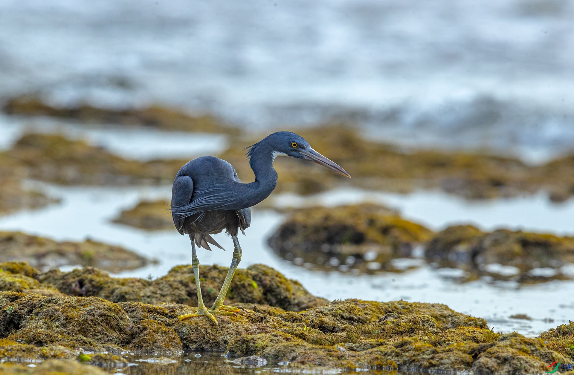 AE8I4121 ����-3����.jpg