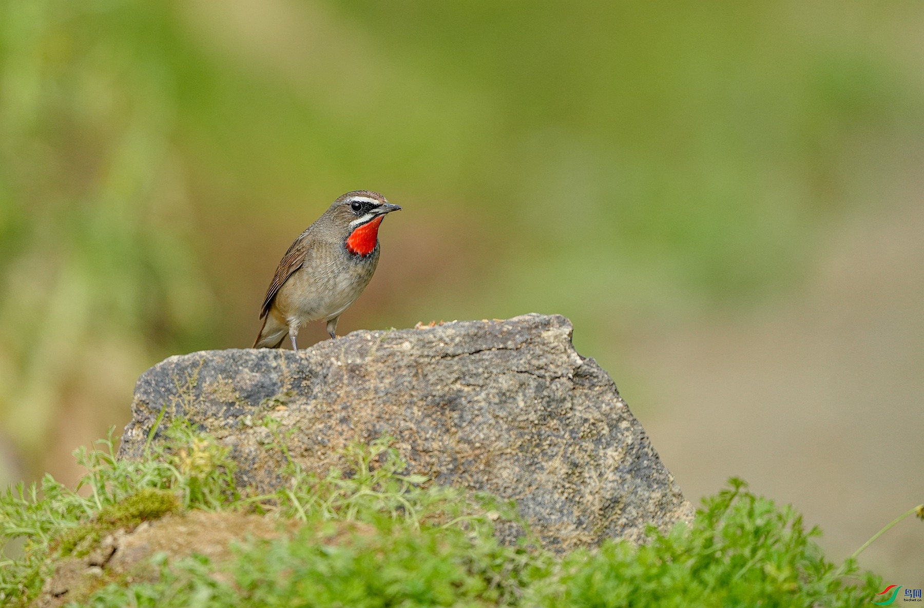 _DSC7584_����.jpg