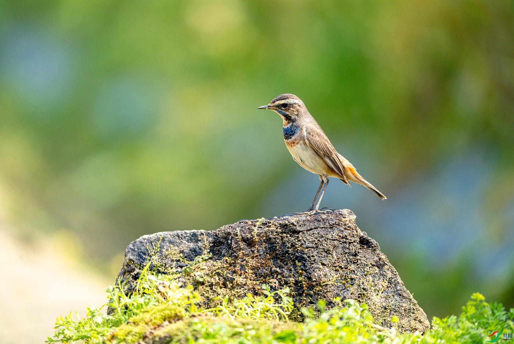 _DSC7370_����.jpg
