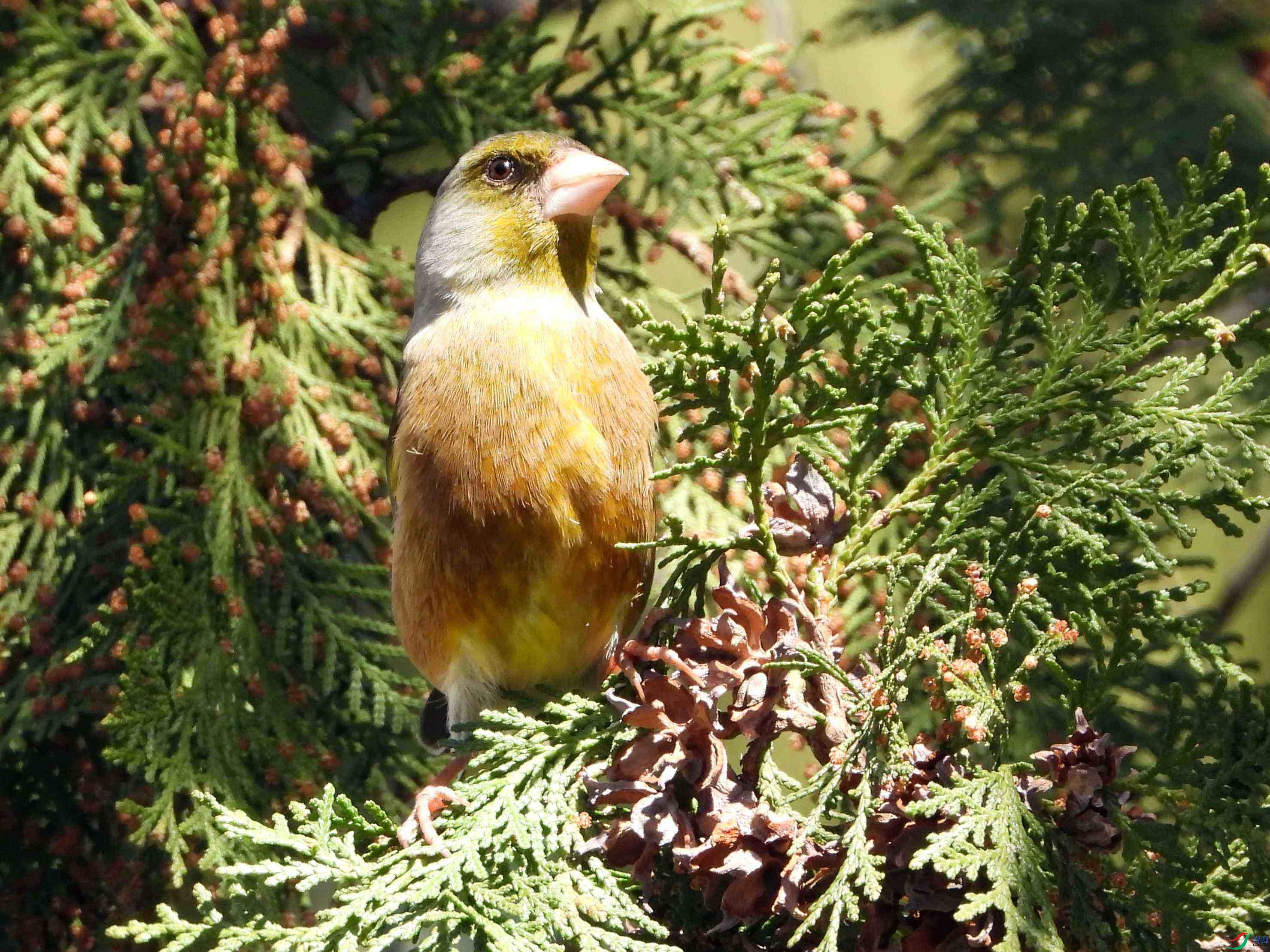 DSCN3072.JPG