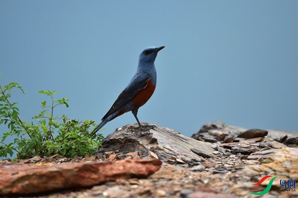 File0000051224.jpg