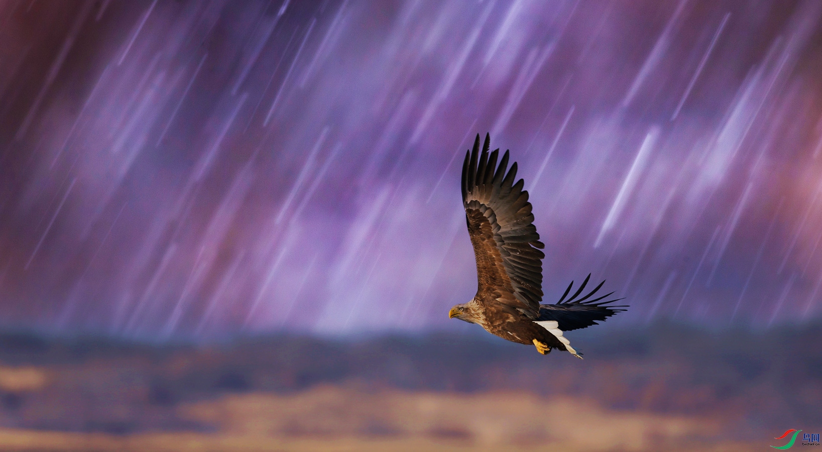 ��ɽ�����������