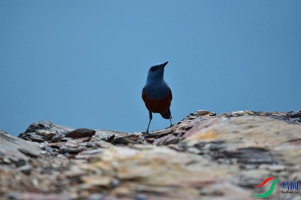 File0000051360.jpg