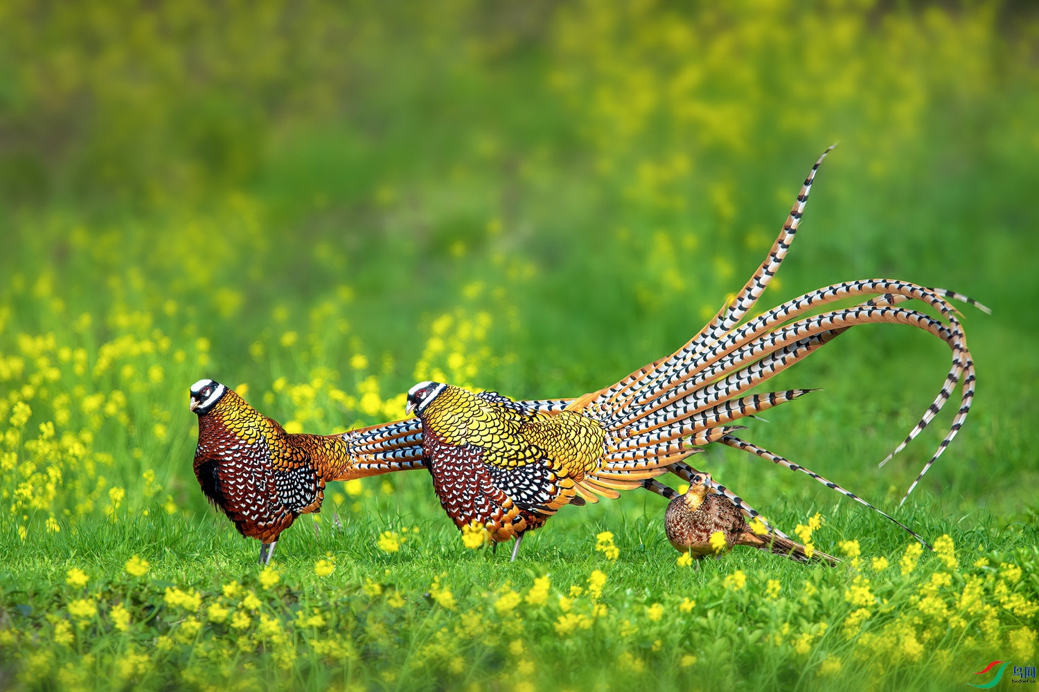 DSC_9272 ����_����.jpg