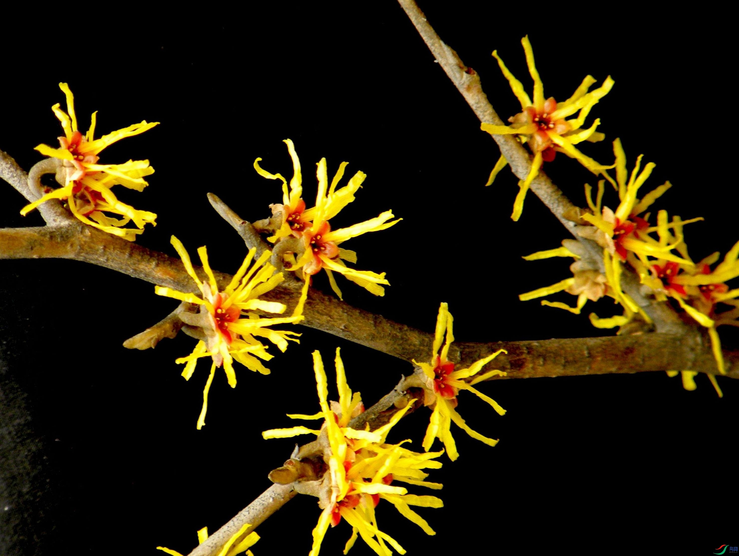 DSCN8246.jpg