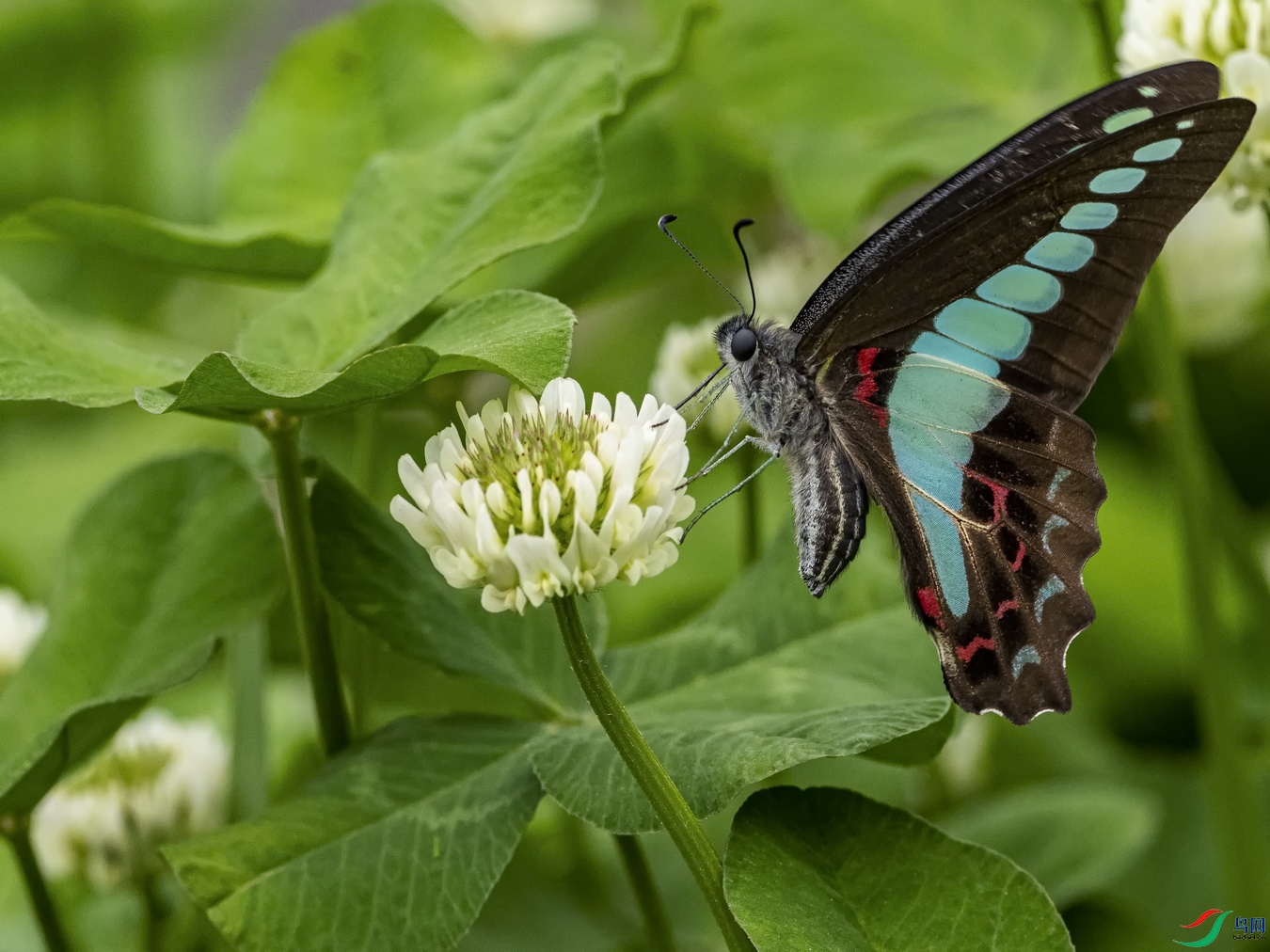 ���� (1).jpg