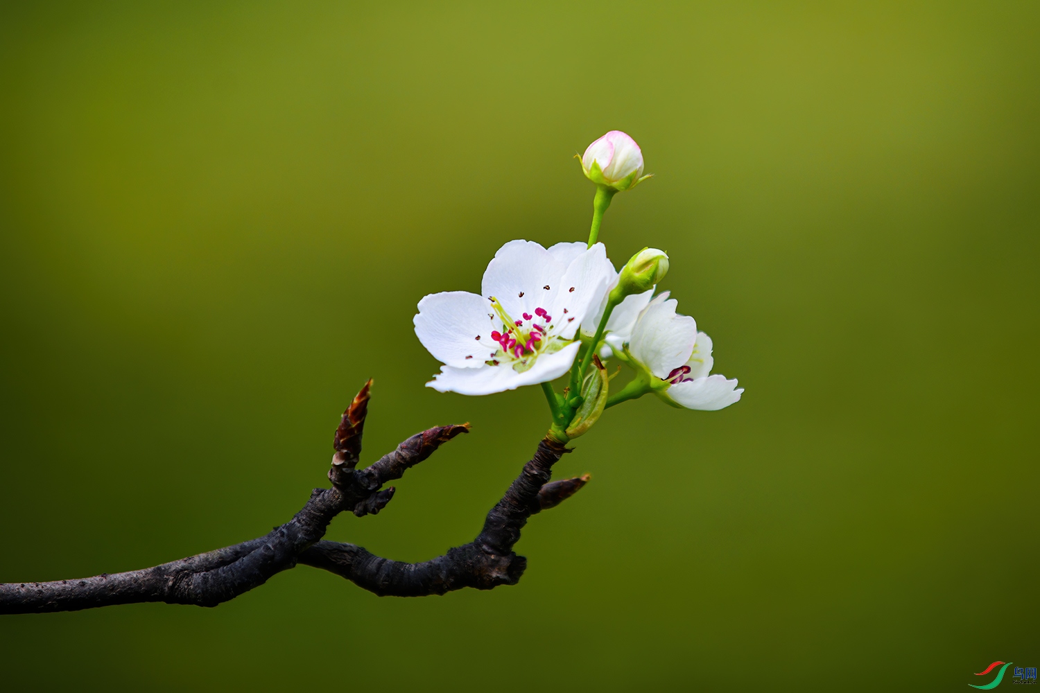 ���� 031-1.jpg