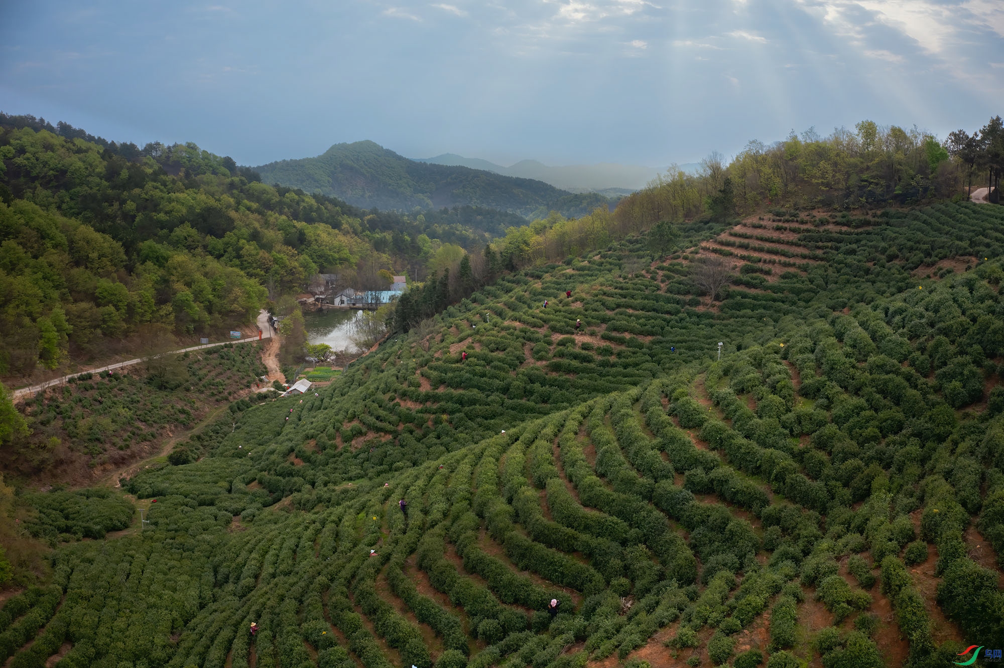 DJI_0032-2 ����.jpg